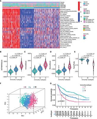 Immune Gene Signatures and Immunotypes in Immune Microenvironment Are Associated With Glioma Prognose